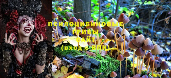 марки lsd Горняк